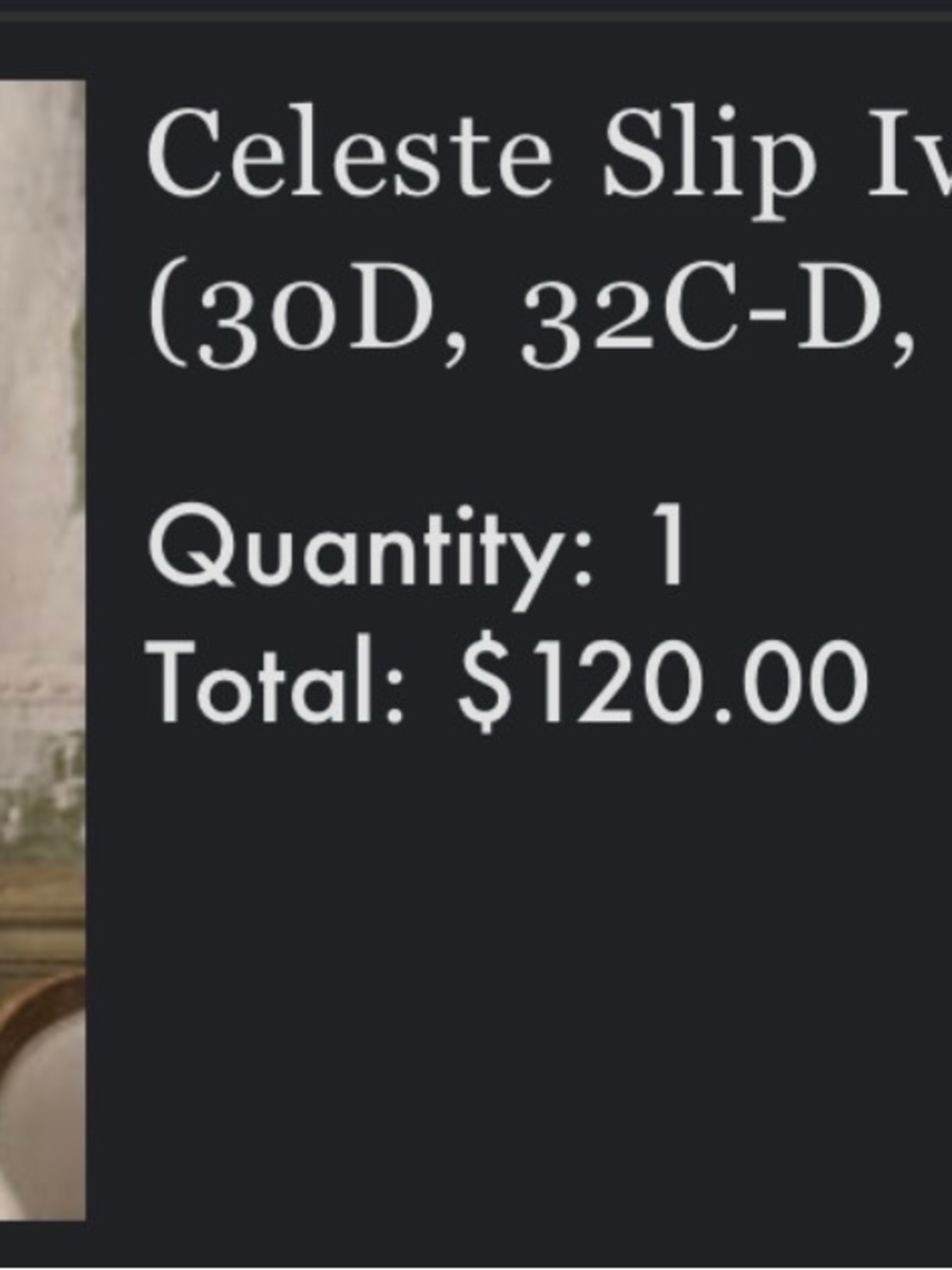 Celeste Slip - Picture 7 of 7